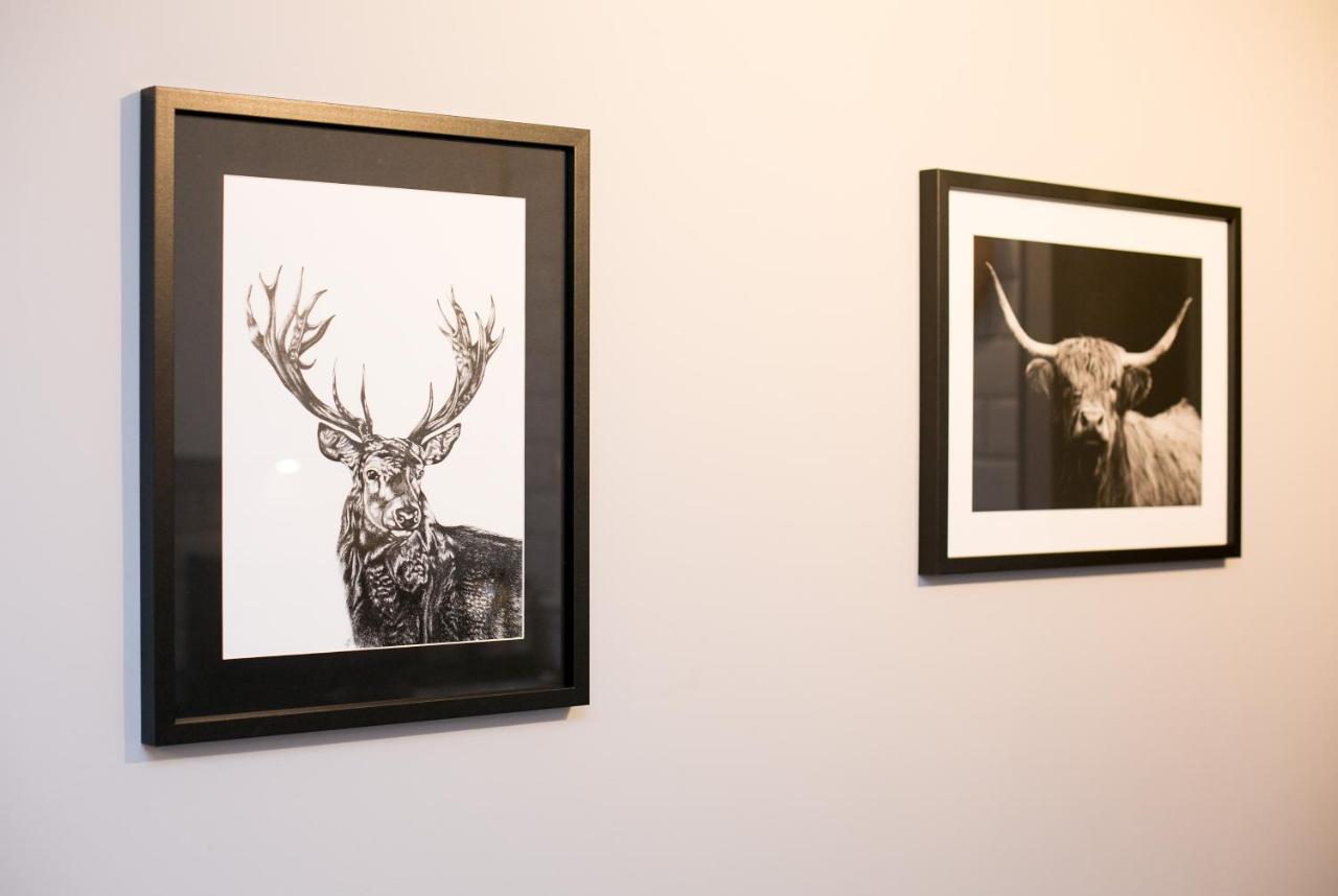 Malone Place Apartment Belfast Bagian luar foto